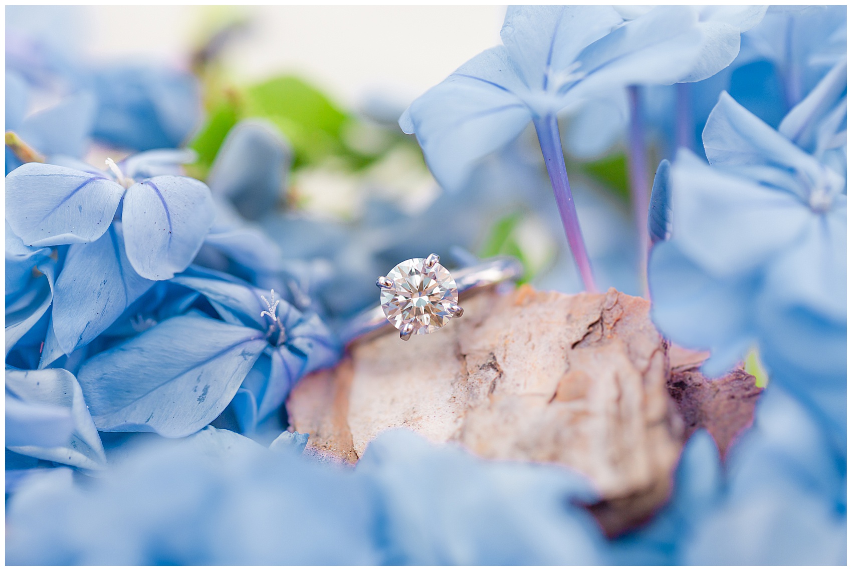 Engagement ring with blue hydrangeas