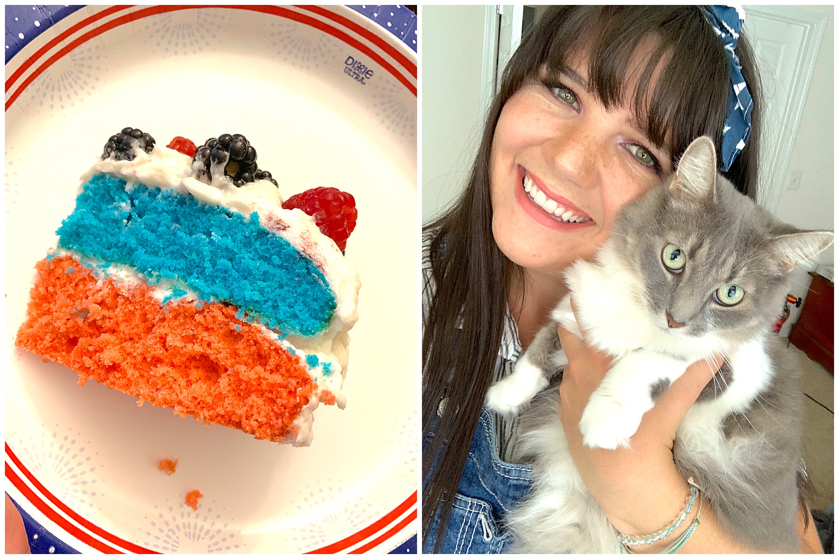 vegan 4th of july cake and a gray kitty