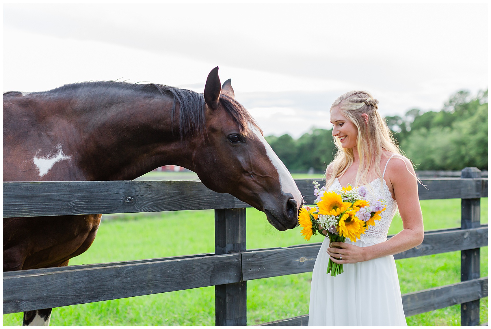 Cute horse at Pepper plantation bridal portraits