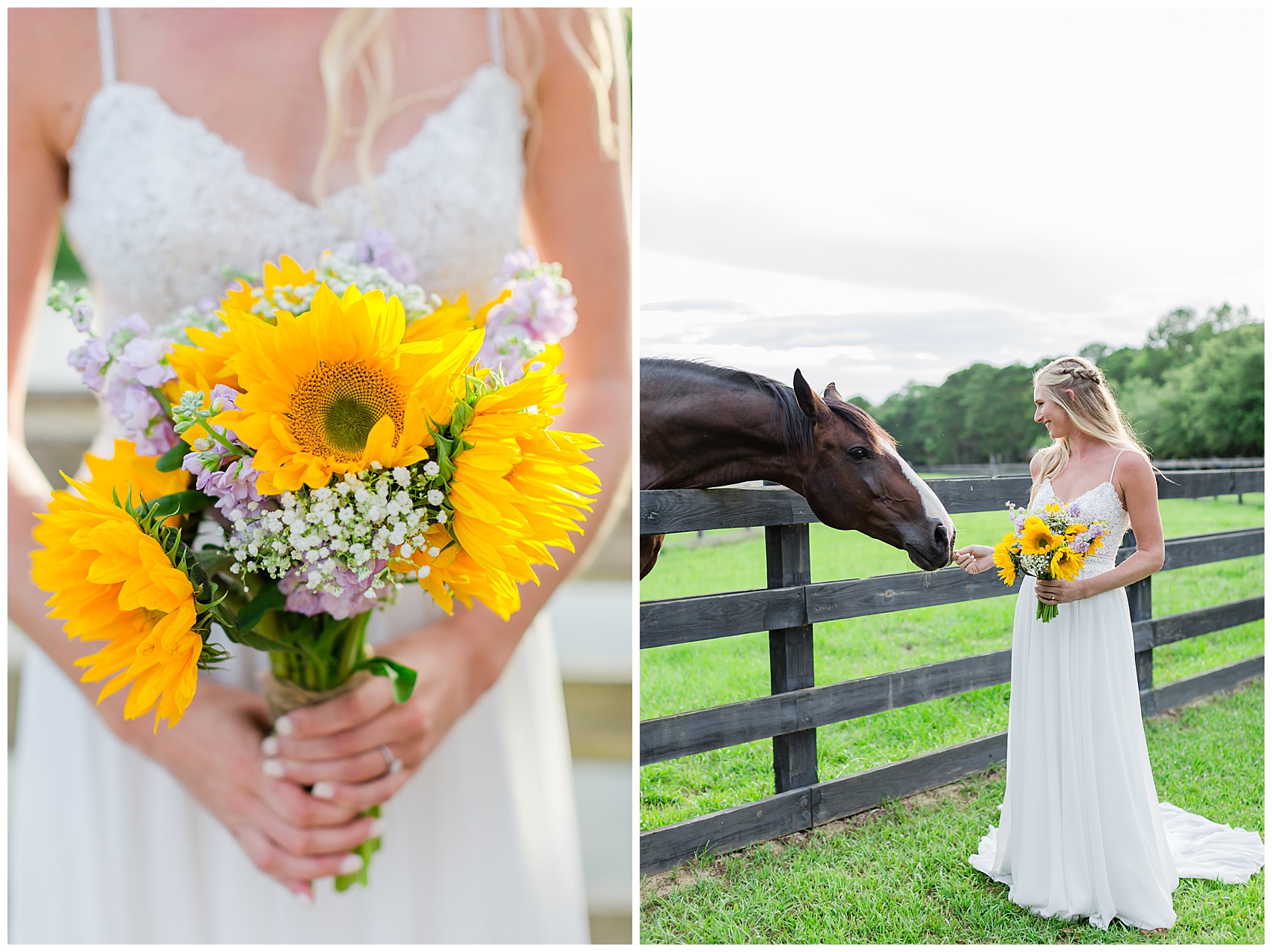 Horses at Pepper plantation bridal portraits - One Year Anniversary