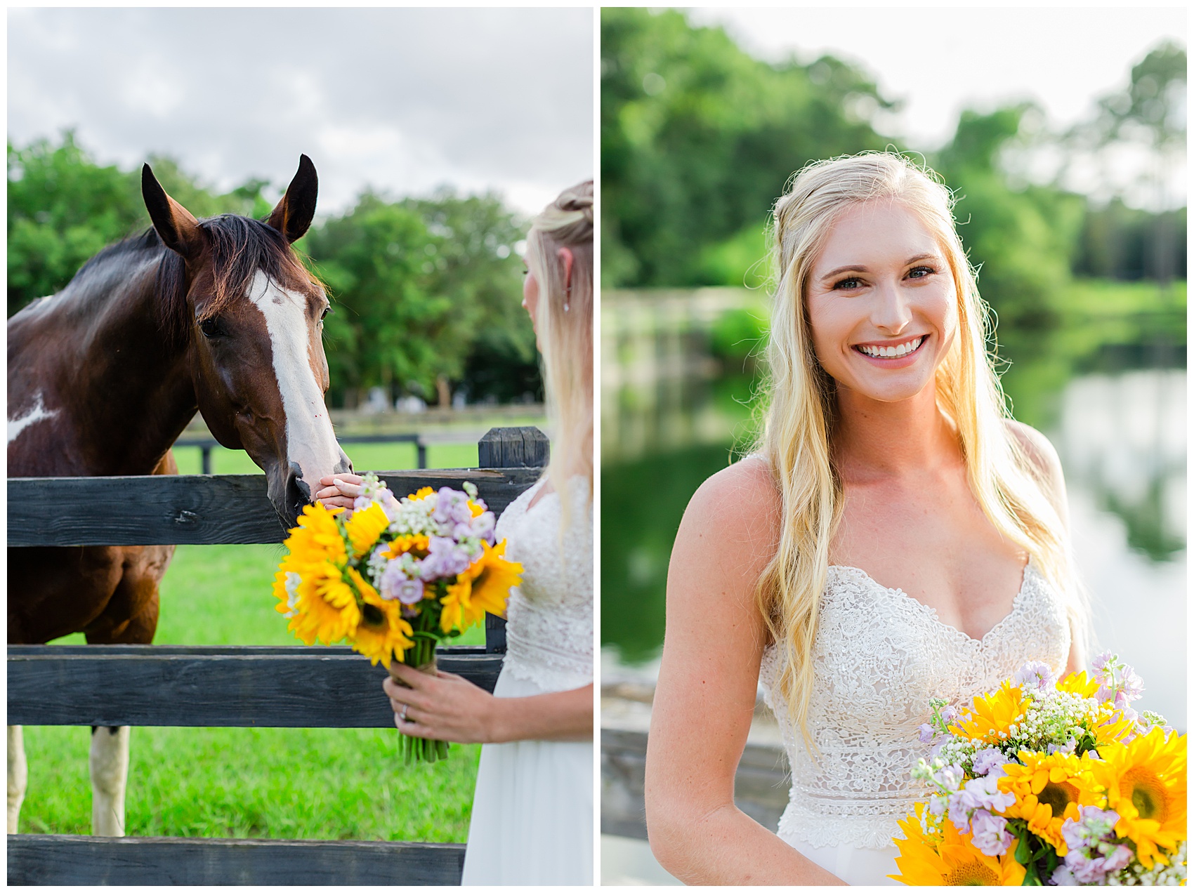 Horses in the field at Pepper plantation bridal portraits 