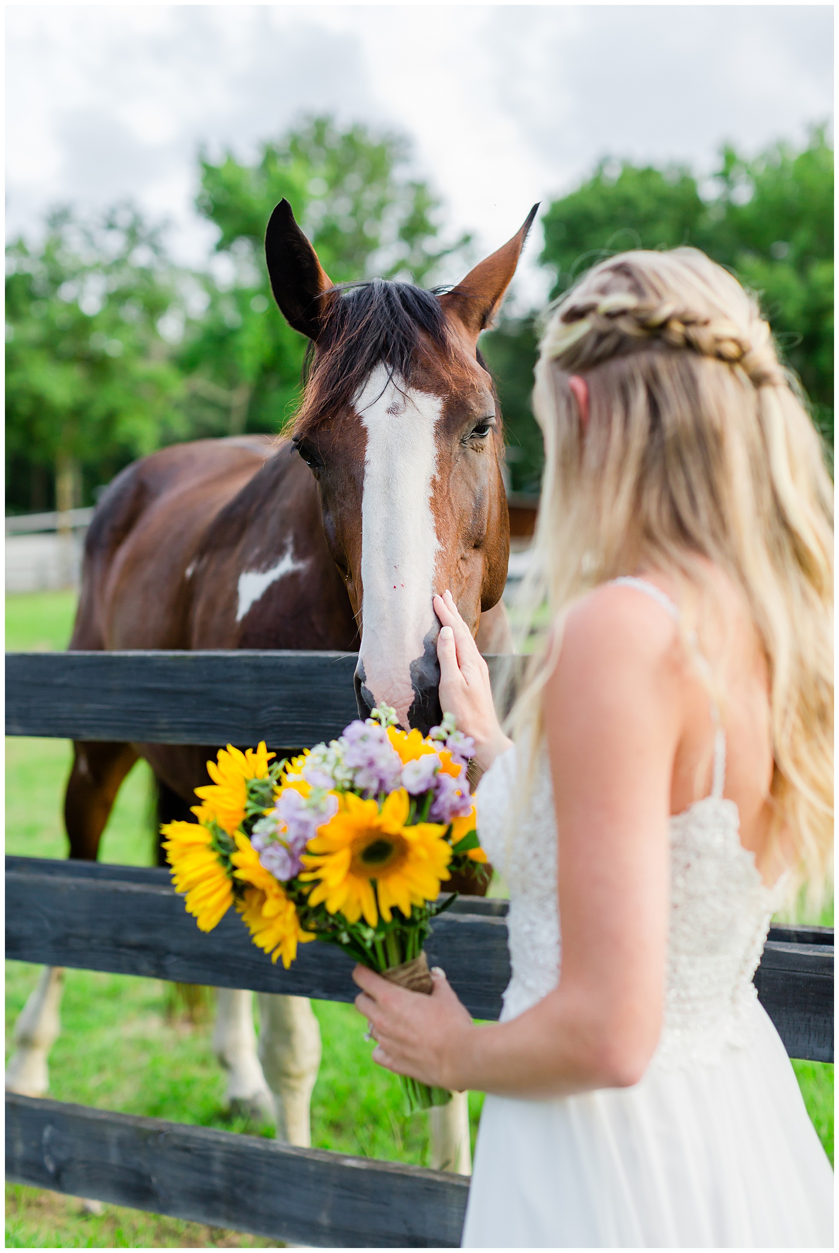 Horse kisses at Pepper plantation bridal portraits 