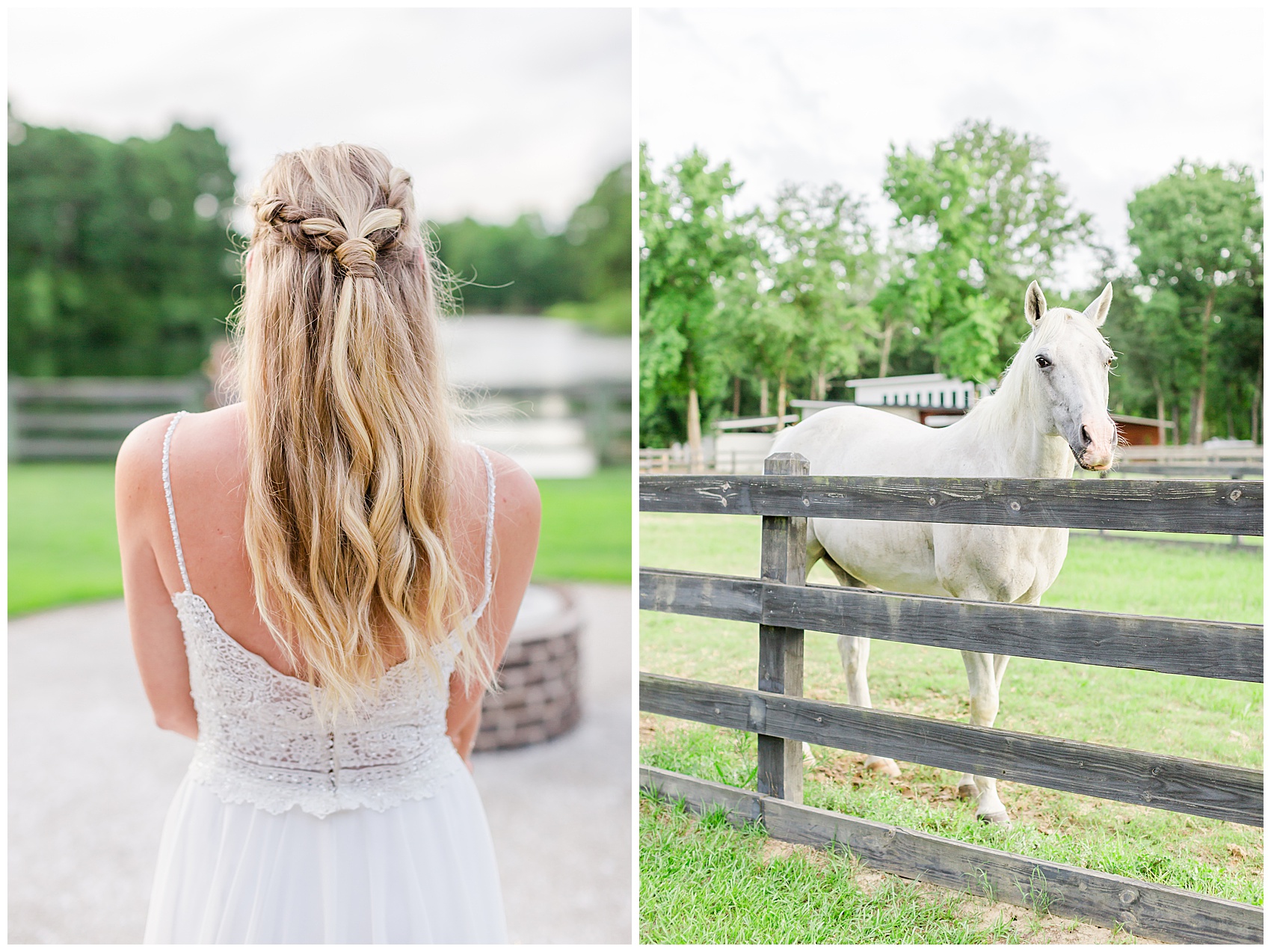 horses at Pepper plantation bridal portraits 