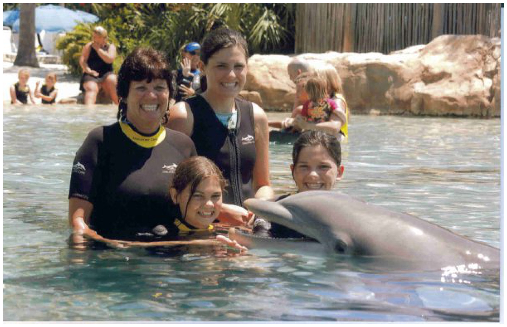 Discovery cove dolphin interaction