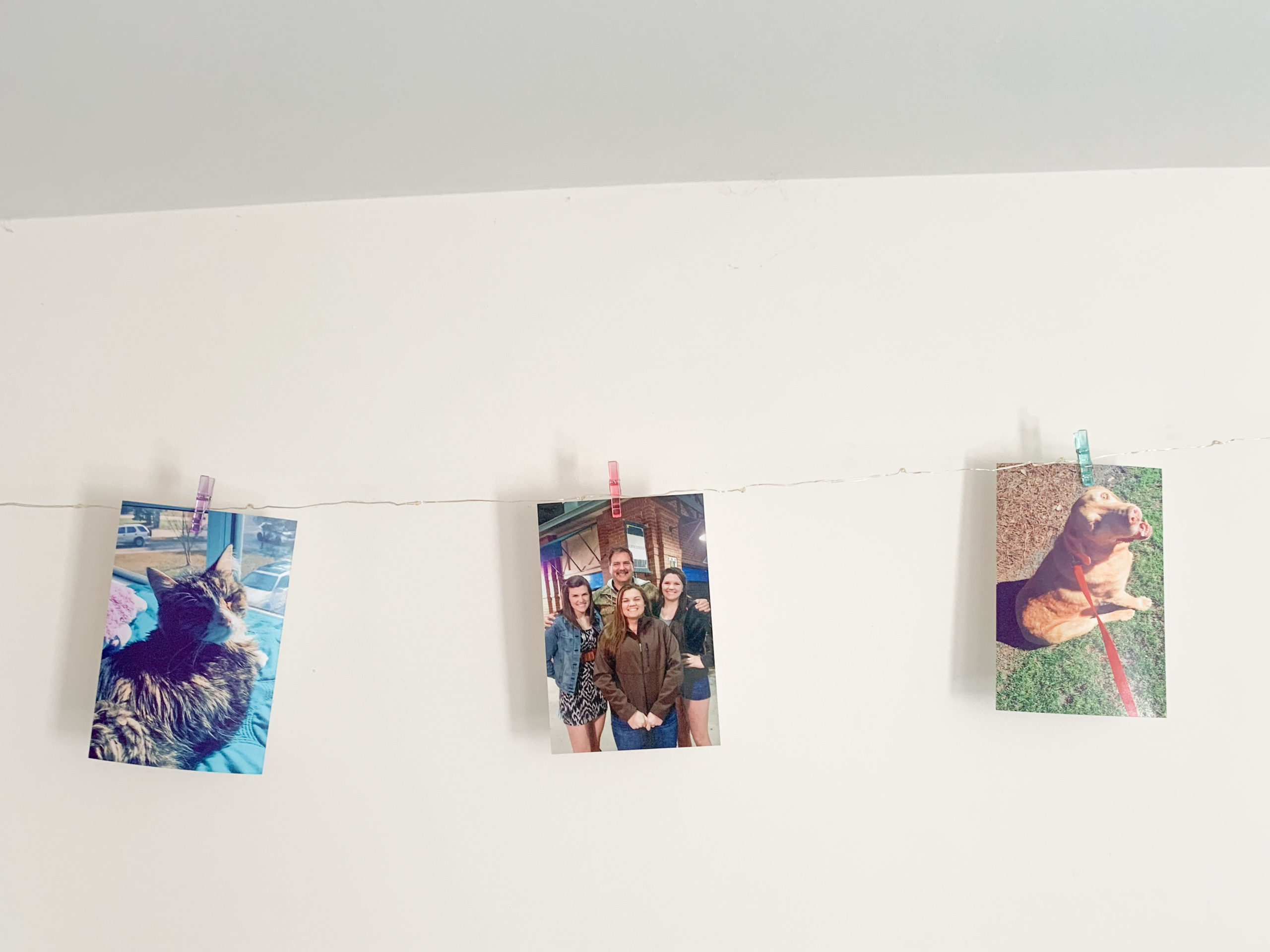 photos printed on the wall