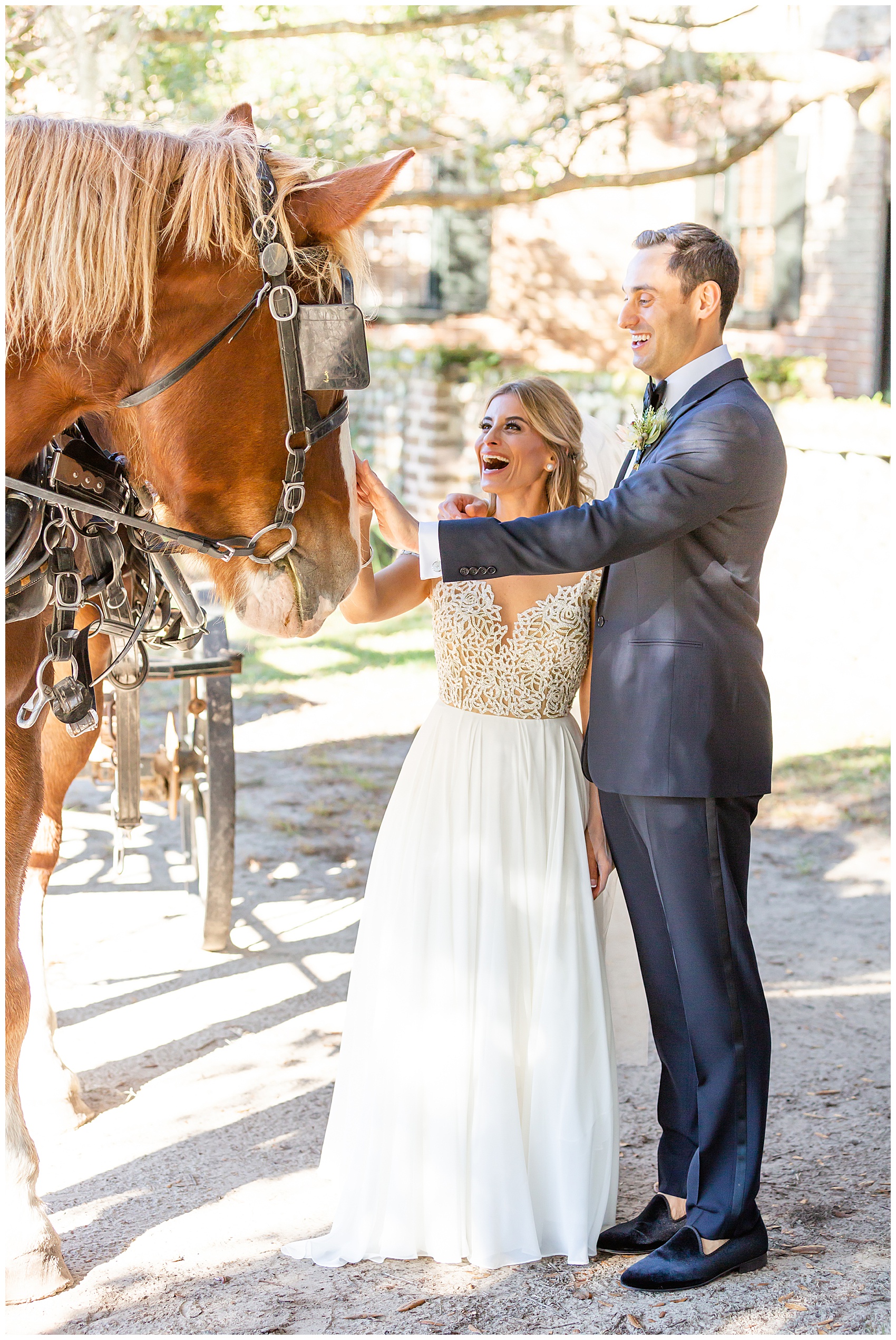 fall wedding at middleton place bride and groom with horse on horse carriage ride